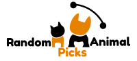 random animal picks logo