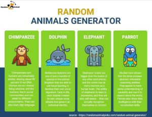 random animal generator by randomanimalpicks.com graphical illustration