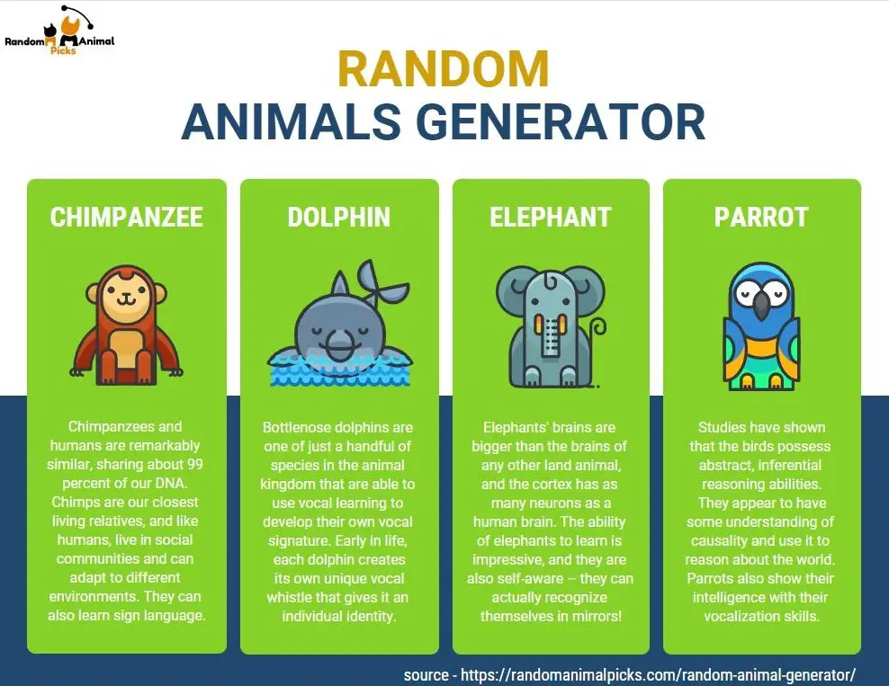 random animal generator by animal classes
