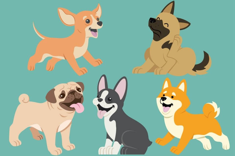 random animal generator play random animal generator play