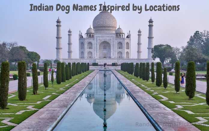 Indian Dog Names Inspired by Locations