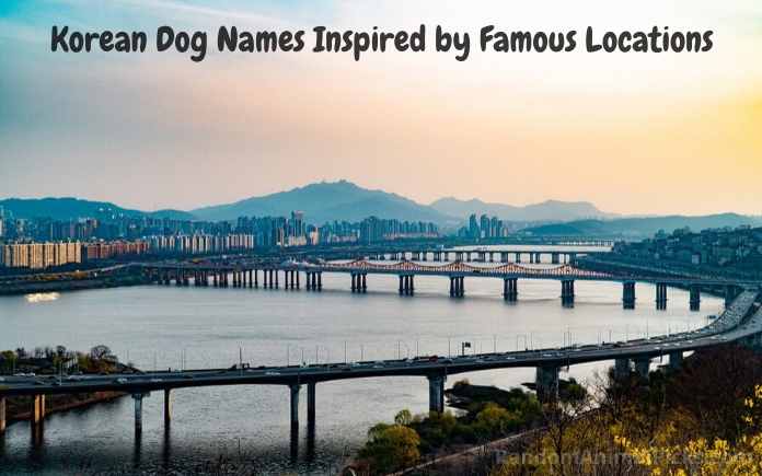 Korean Dog Names Inspired by Famous Locations