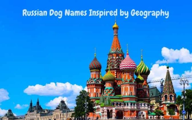 Russian Dog Names Inspired By Geography 672x420 