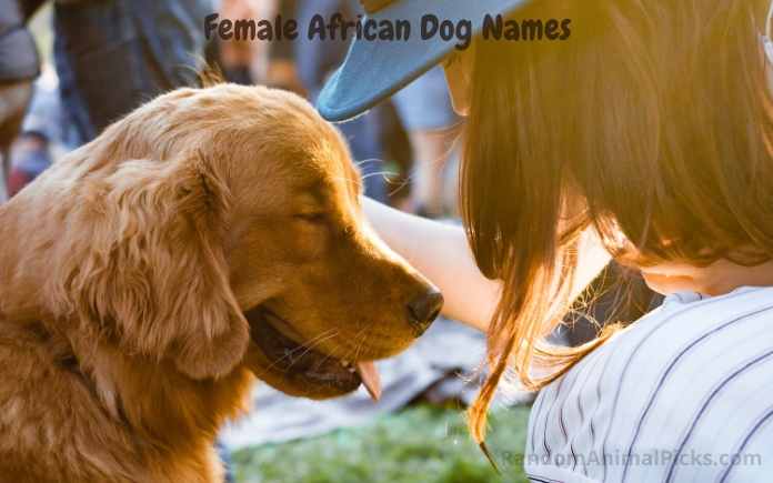 female dog names