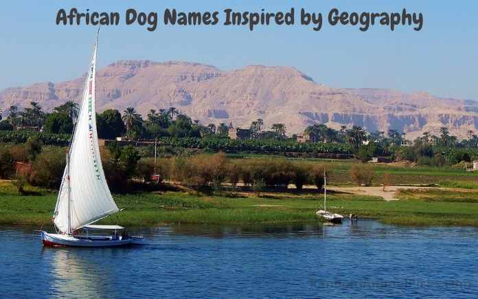 African Dog Names Inspired by Geography