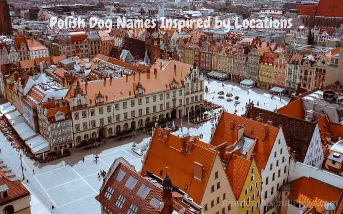 polish-dog-names-by-locations-landmarks-geography