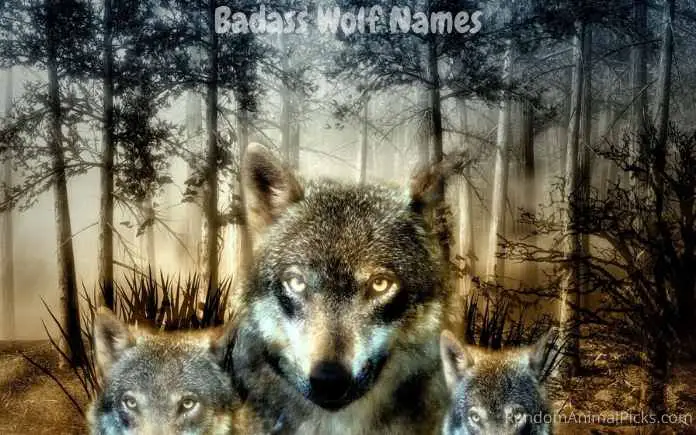 Badass Wolves