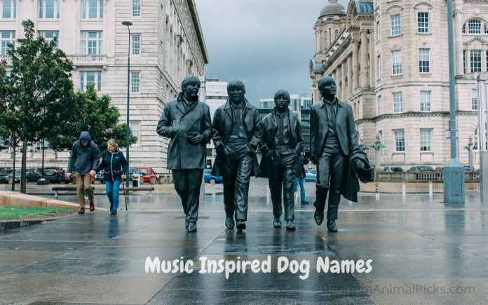 Cool Music Inspired Dog Names