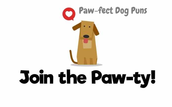 Paw-fect Dog Puns