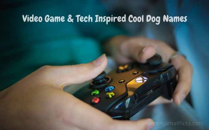 Video Game & Tech Inspired Cool Dog Names