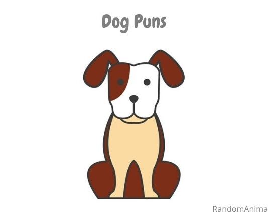 Dog-Puns-Pet-Names