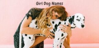 girl-dog-names