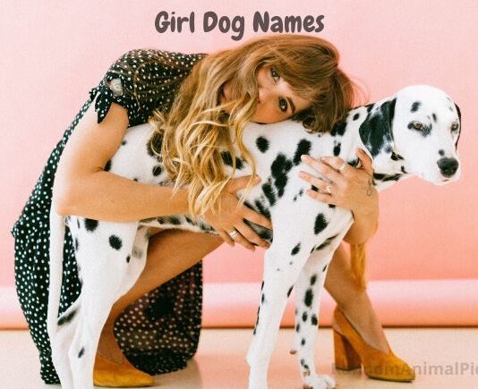 girl-dog-names