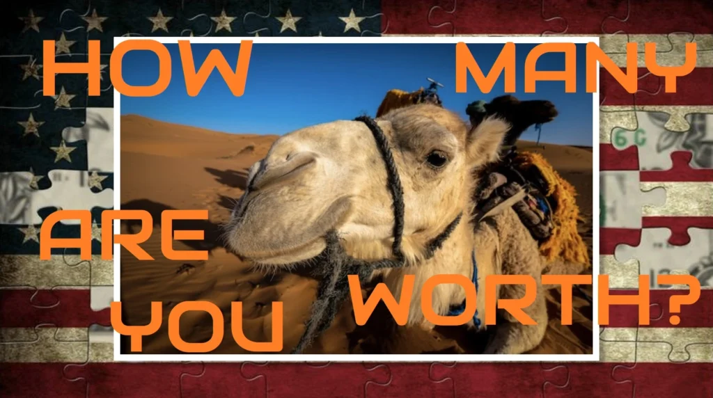 how-many-camels-am-i-worth-quiz