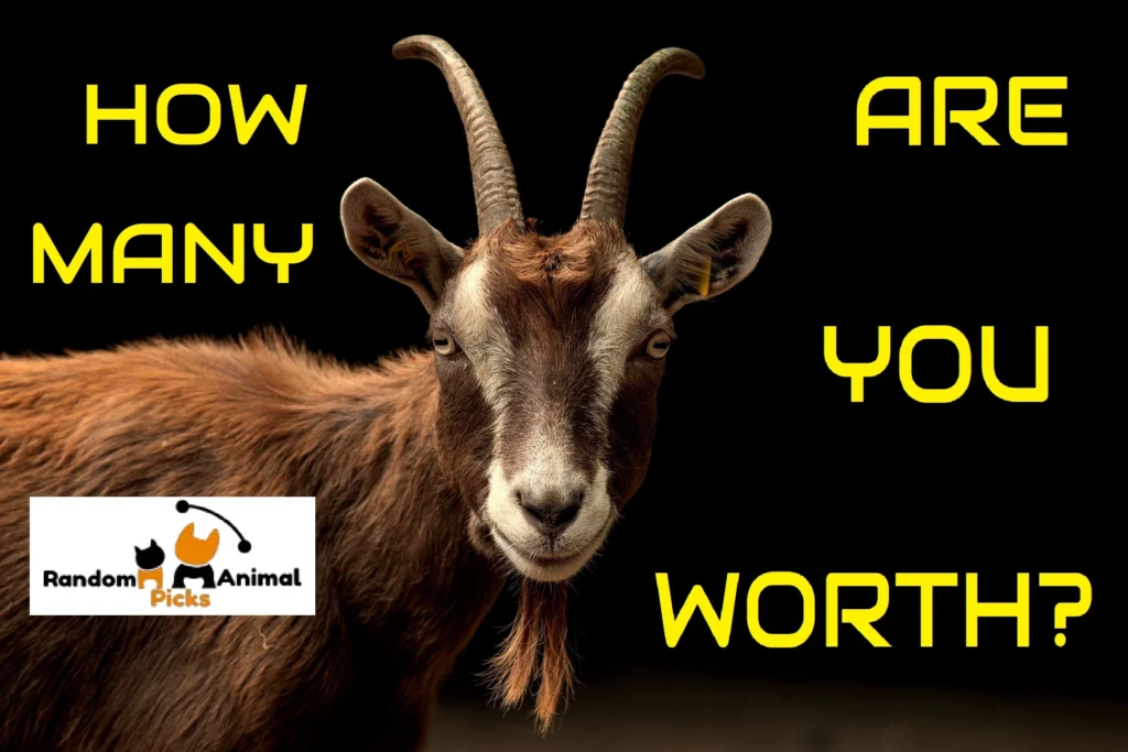 how-many-goats-am-i-worth-quiz