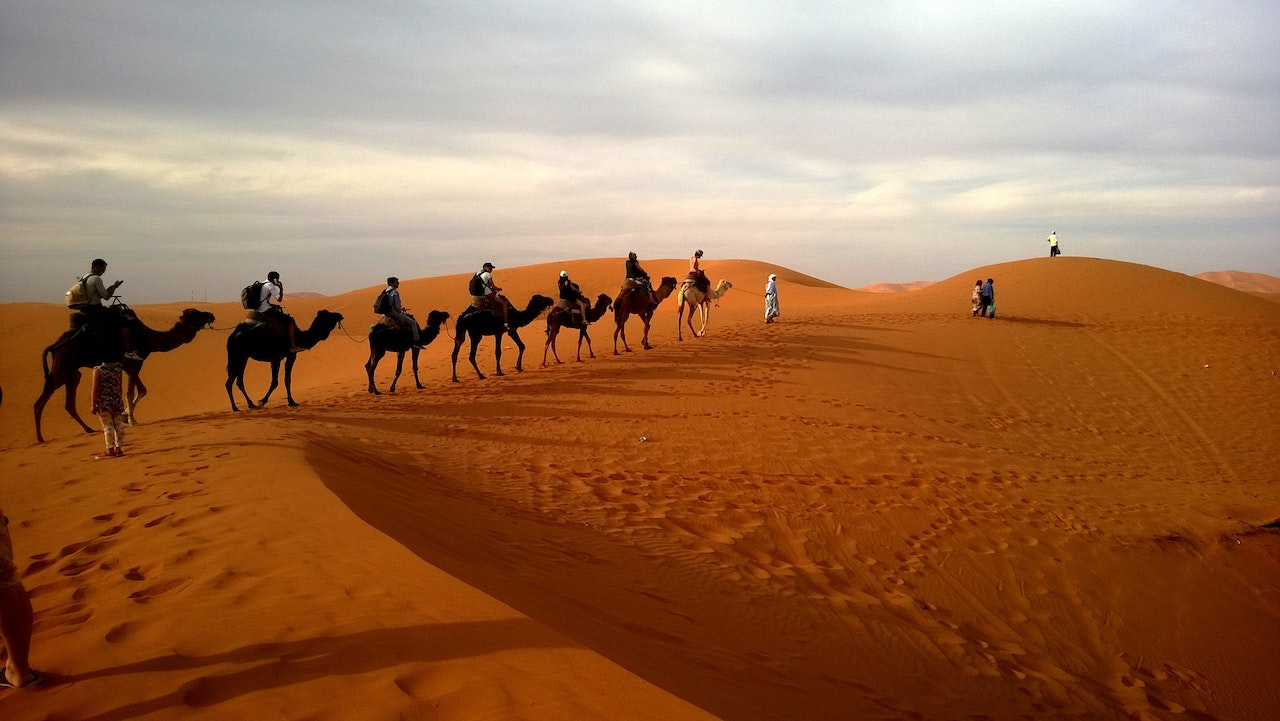 how-many-camels-am-i-worth-quiz-result4