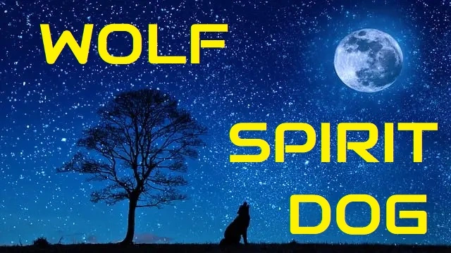 wolf-spirit-dog