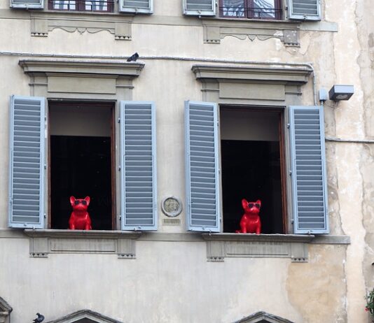 italian-dog-names-florence-window-dogs