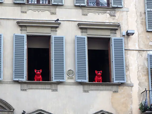 italian-dog-names-florence-window-dogs-names